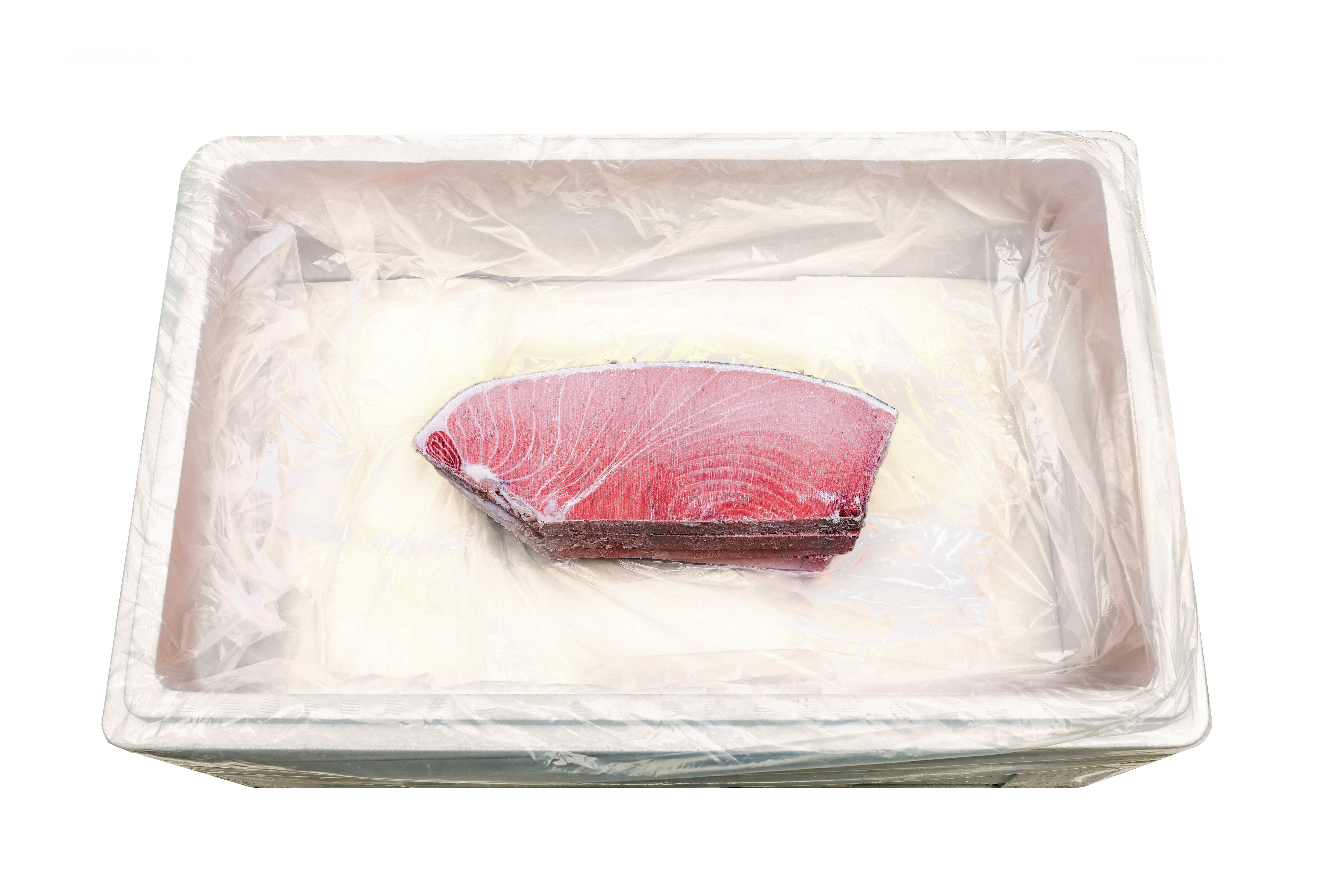 참다랑어 4번 도로 - 6kg/12kg