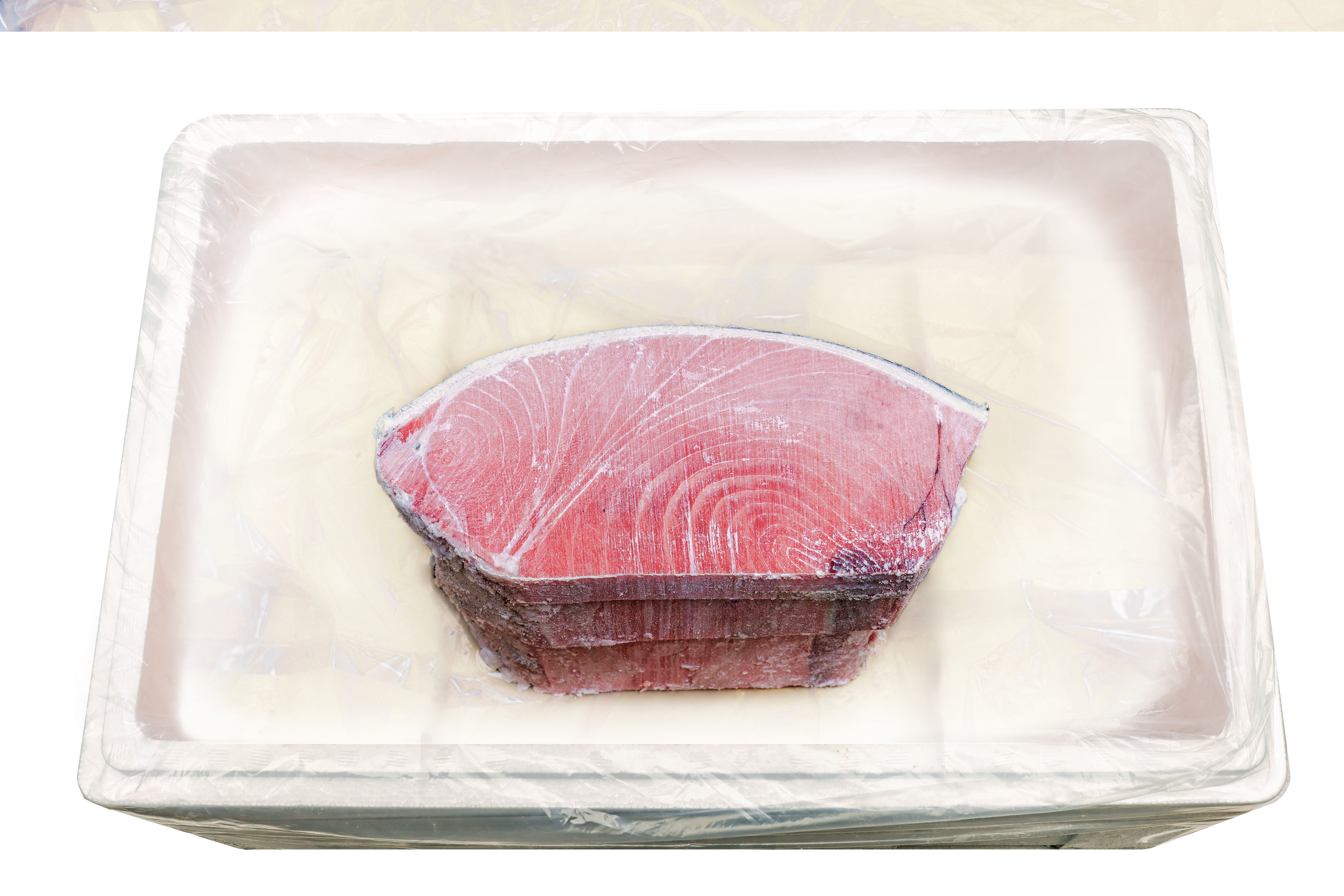 참다랑어 5번 도로 - 6kg/12kg