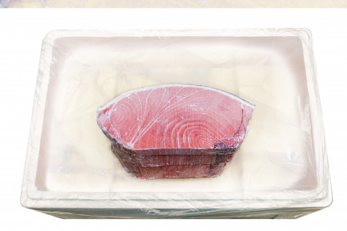 참다랑어 5번 도로 - 6kg/12kg