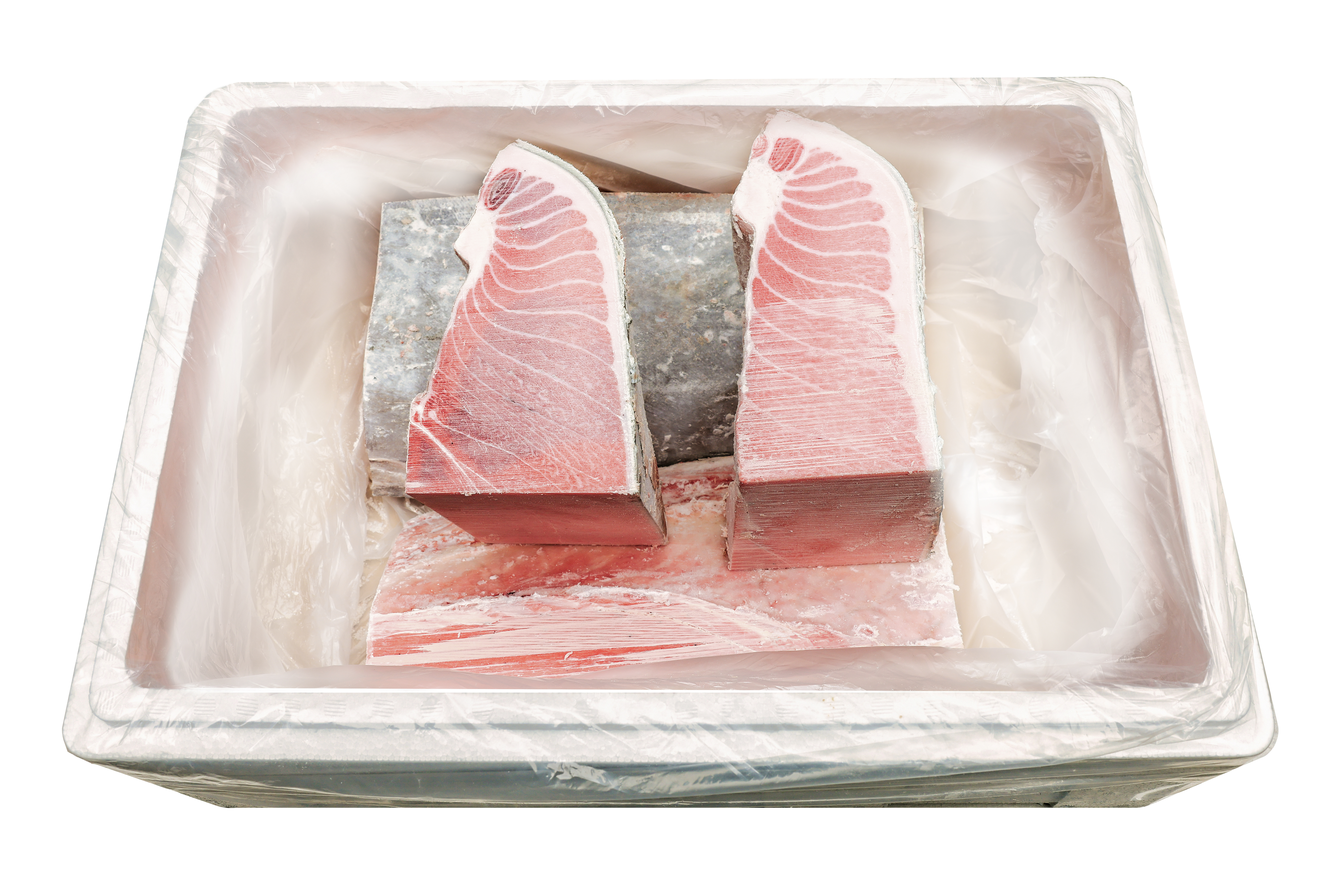 참다랑어 세미도로 5.0kg/10.0kg